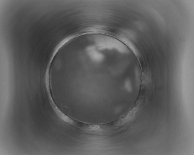 X0000112021098200908101357