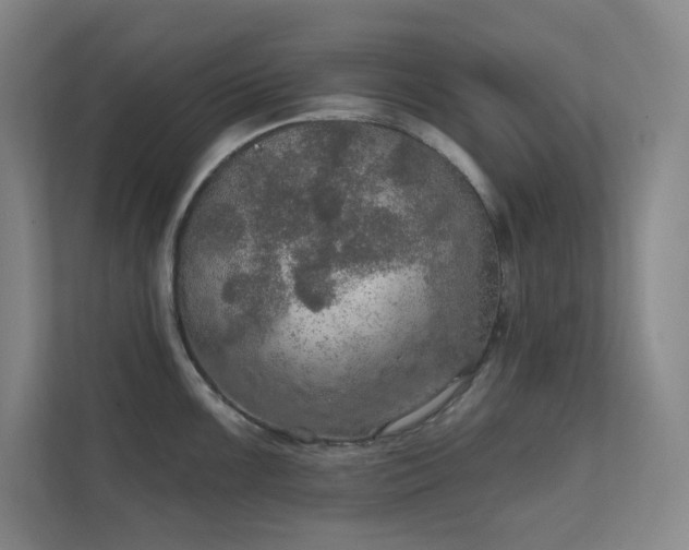 X0000112021099200908101357