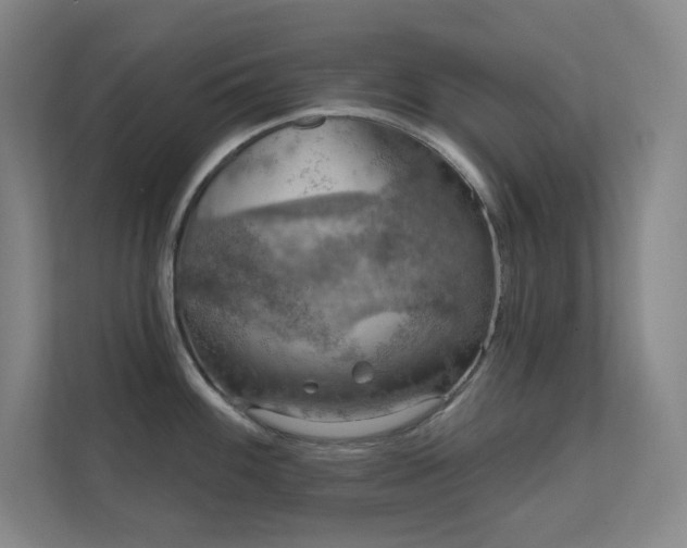 X0000112021100200908101357