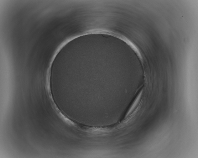 X0000112021102200908101357