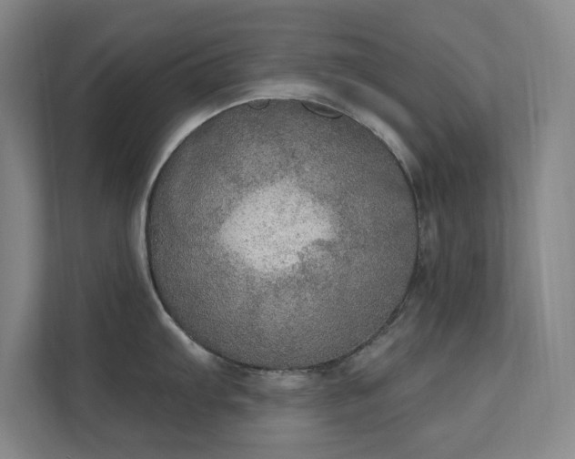 X0000112021103200908101357