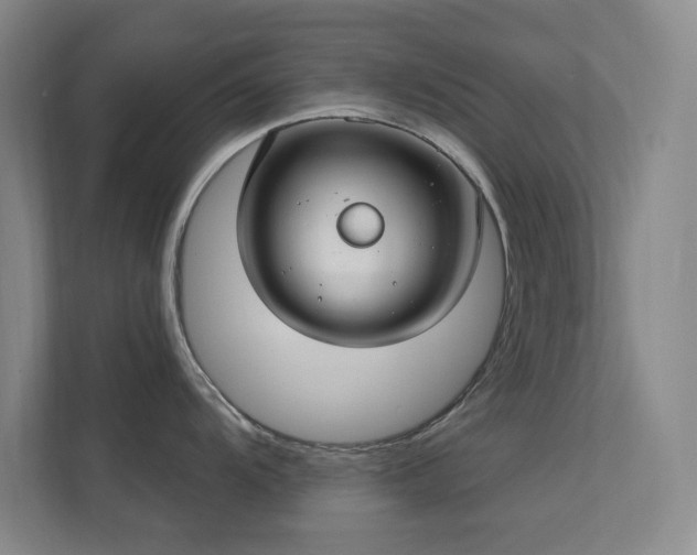 X0000112021104200908101357