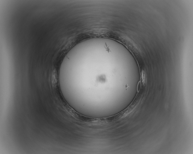 X0000112021107200908101356