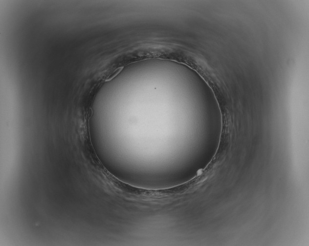 X0000112021109200908101356