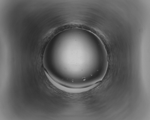 X0000112021110200908101356