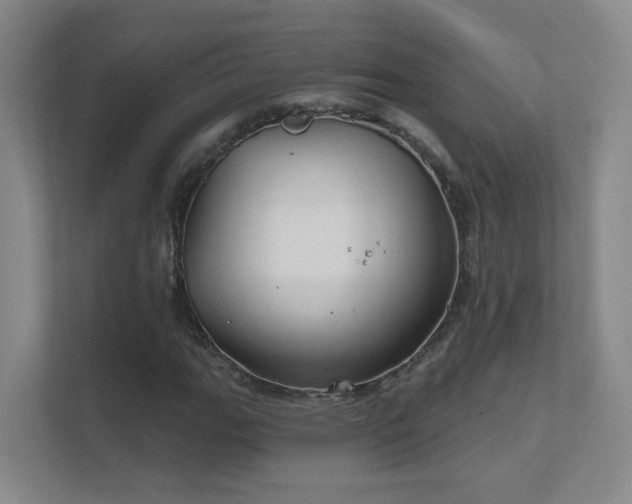 X0000112021111200908101356