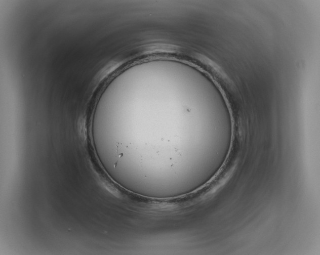 X0000112021113200908101356