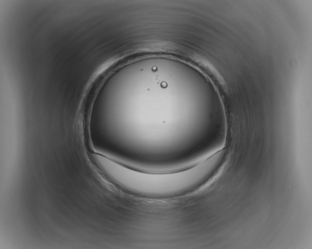 X0000112021114200908101356