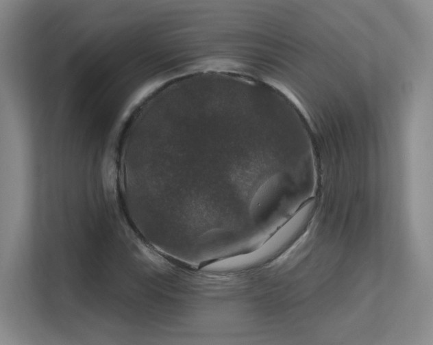 X0000112021115200908101356