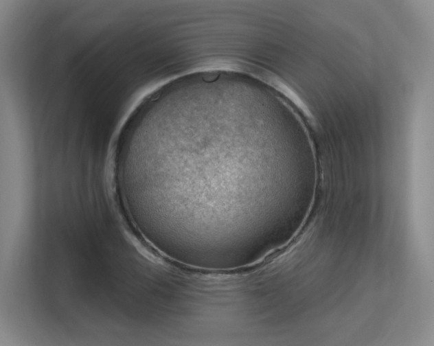 X0000112021116200908101356