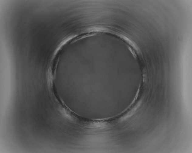 X0000112021117200908101356