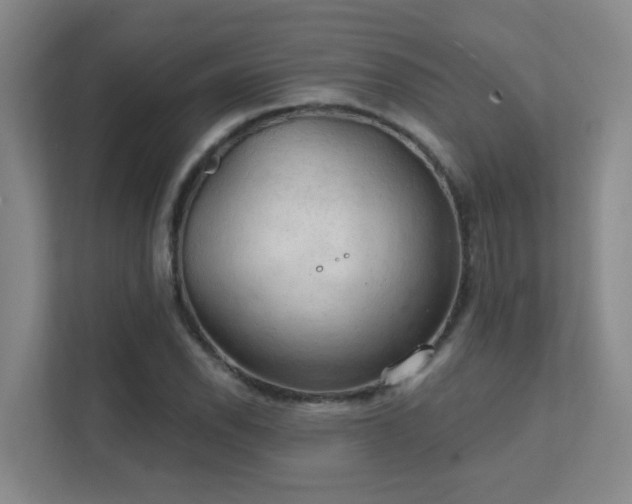 X0000112021118200908101356