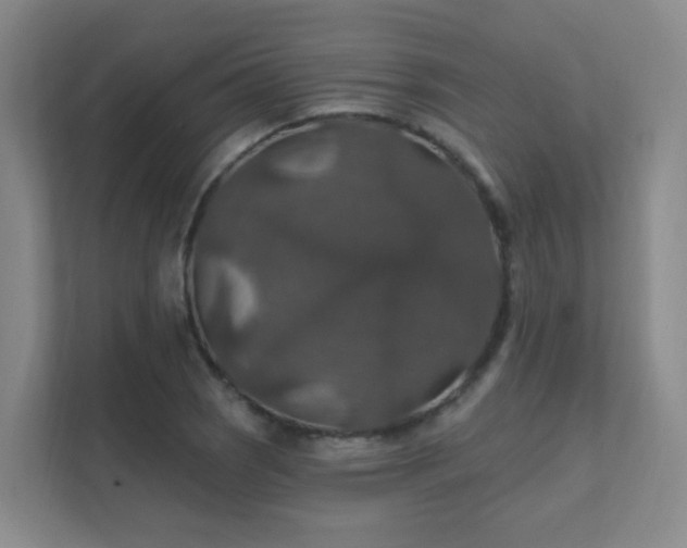 X0000112021121200908101356