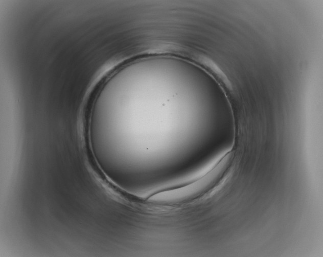 X0000112021122200908101356