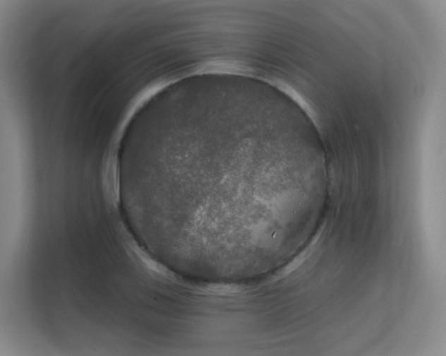 X0000112021123200908101356