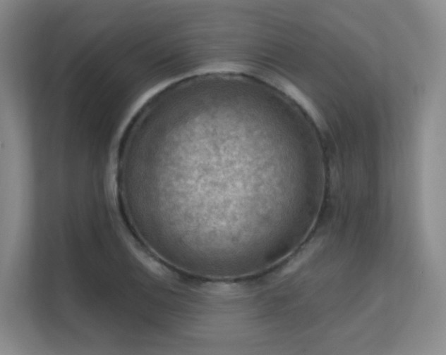 X0000112021124200908101356