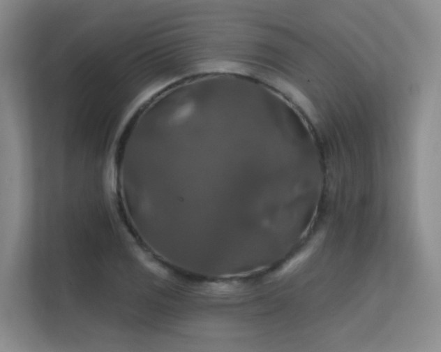 X0000112021125200908101356