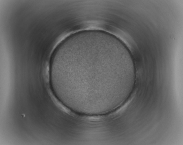 X0000112021126200908101356