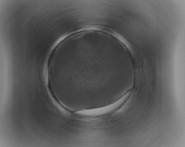 X0000112021127200908101356