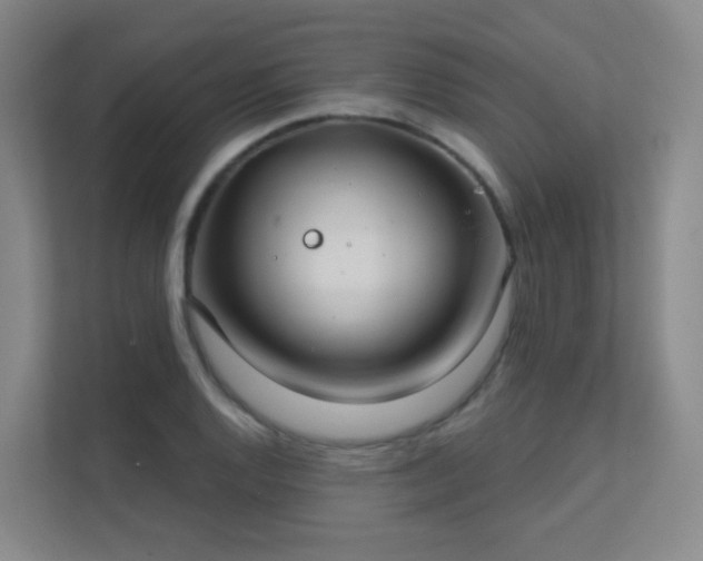 X0000112021128200908101356