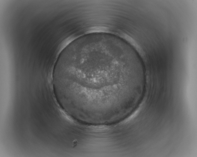 X0000112021129200908101356