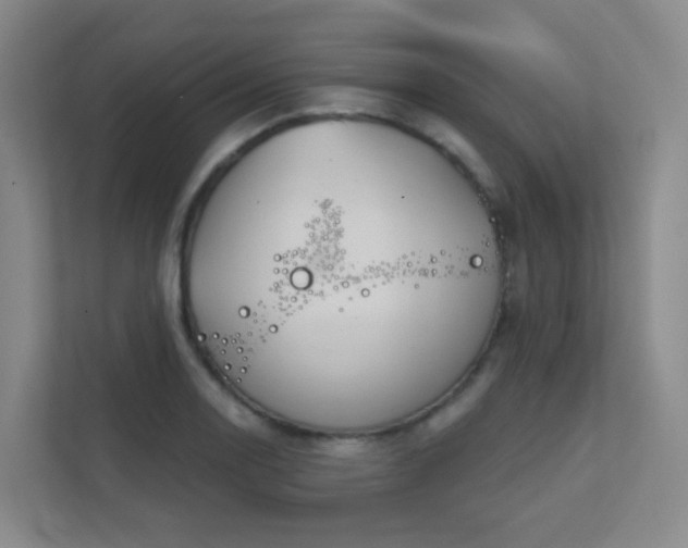 X0000112021130200908101356