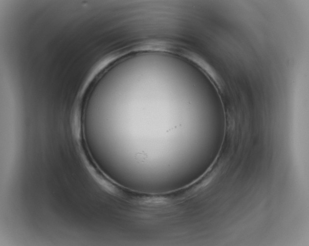 X0000112021131200908101356