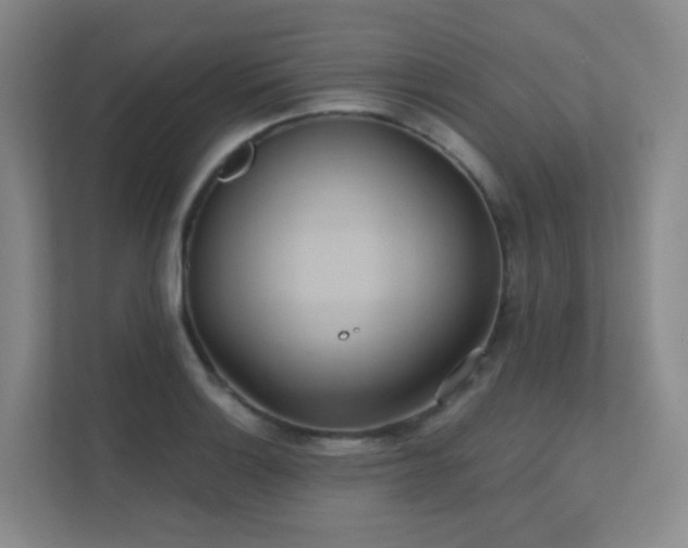 X0000112021132200908101356