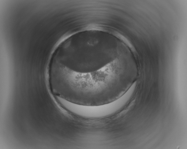 X0000112021133200908101356