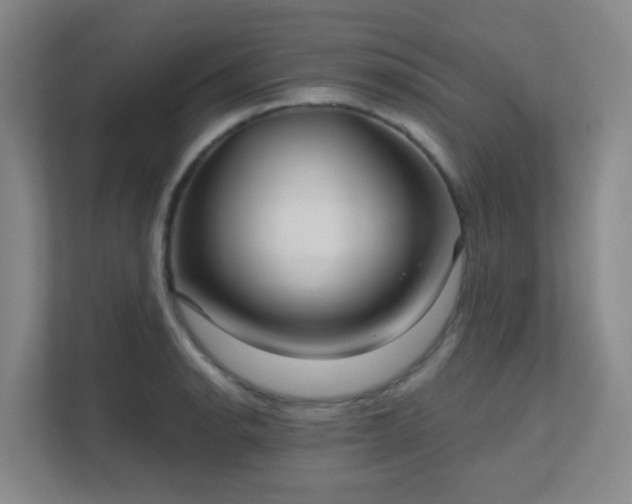 X0000112021134200908101356