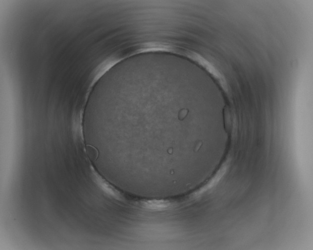 X0000112021137200908101357