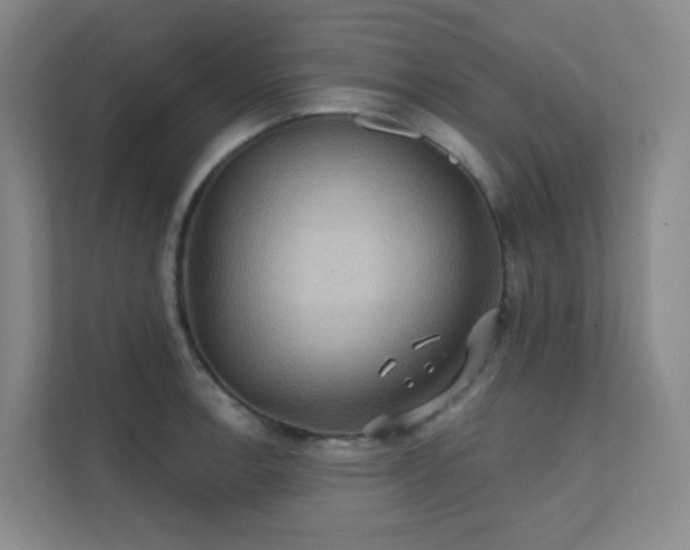 X0000112021138200908101357