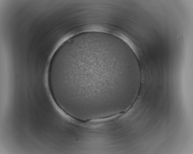 X0000112021139200908101357