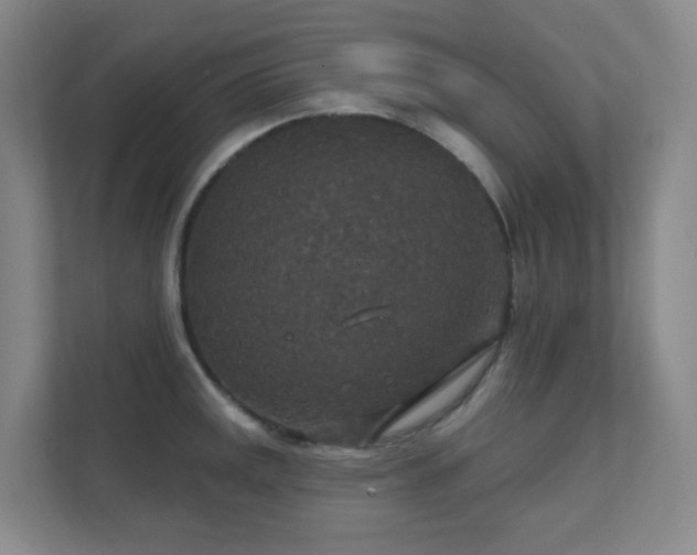 X0000112021141200908101357