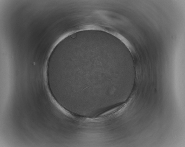 X0000112021142200908101357