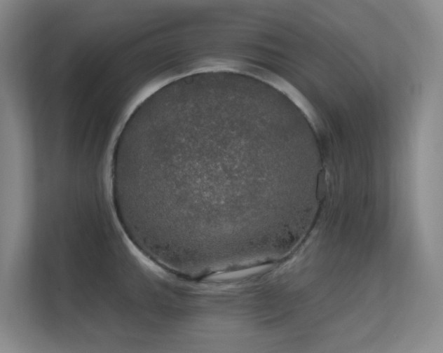 X0000112021143200908101357