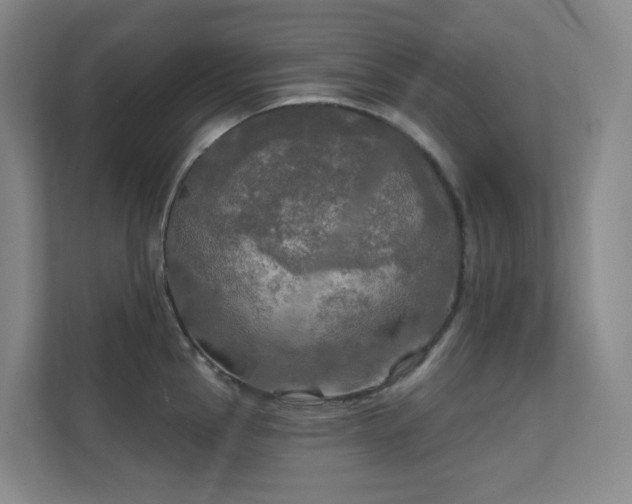 X0000112021145200908101357