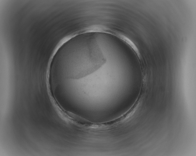 X0000112021146200908101357