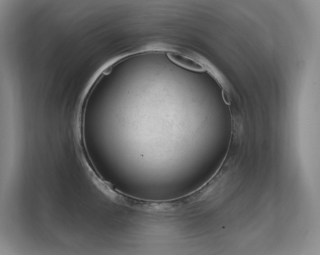 X0000112021148200908101357