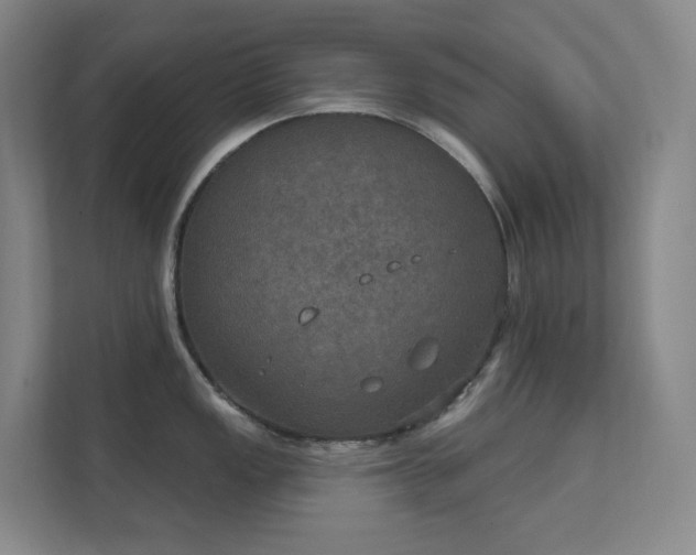 X0000112021149200908101357