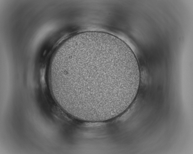 X0000112021150200908101357