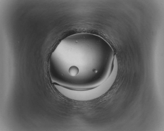 X0000112021153200908101356