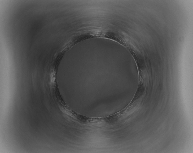 X0000112021154200908101356