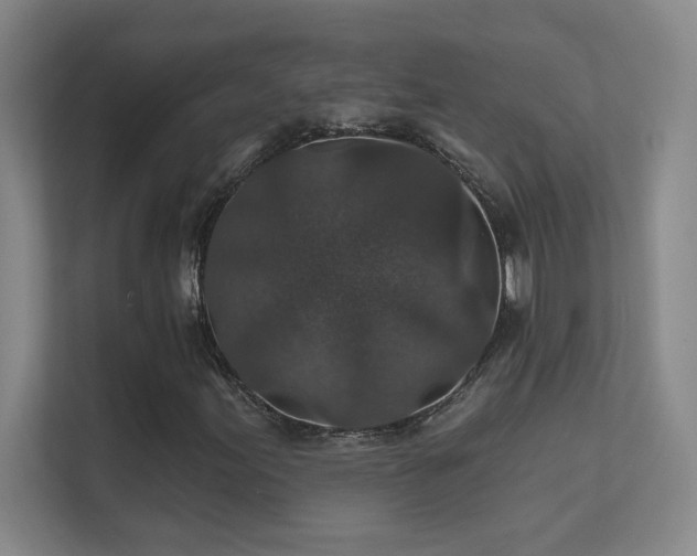 X0000112021155200908101356