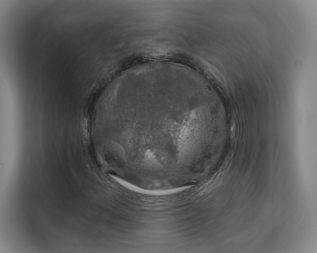 X0000112021156200908101356