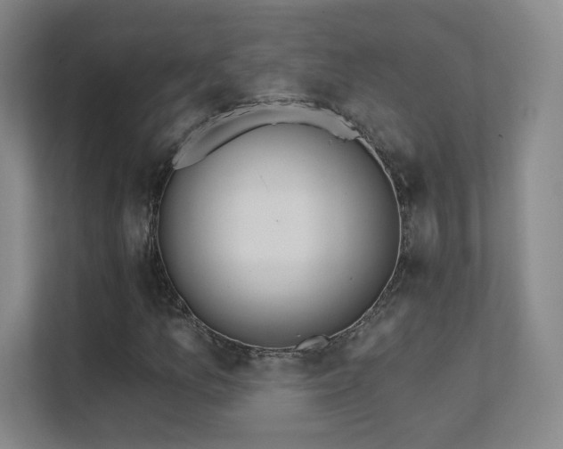 X0000112021157200908101356