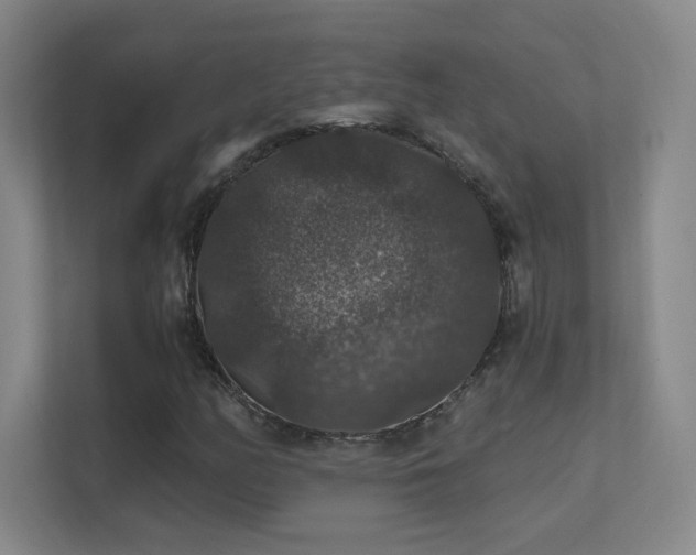 X0000112021158200908101356