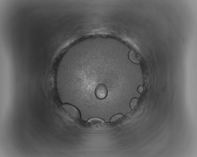 X0000112021159200908101356