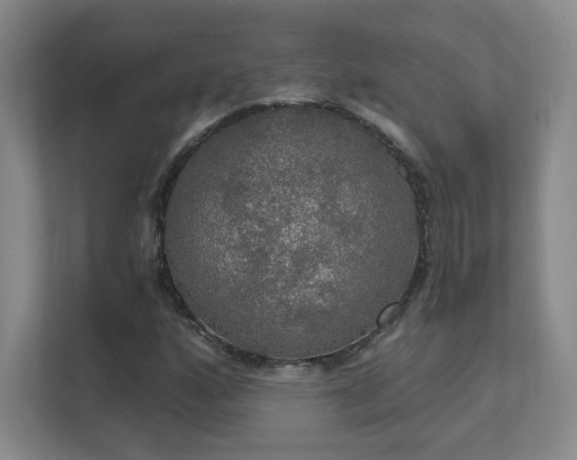 X0000112021160200908101356