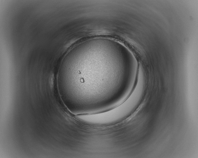 X0000112021161200908101356